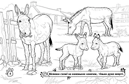 Розмальовка з тваринами. Тварини на фермі - мініатюра 4