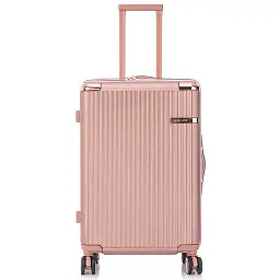 Валіза Semi Line 24" M Rose (T5664-4) - мініатюра 3