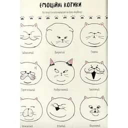 Книга Котюморт. Як малювати котиків - Лулу Майо Жорж (9786177579358) - мініатюра 3