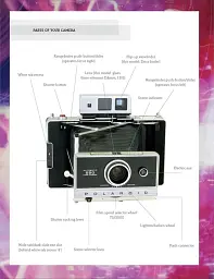 Polaroid: The Missing Manual - мініатюра 4