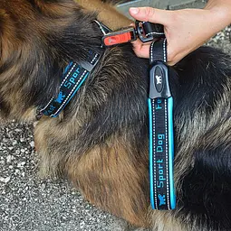 Нашийник для собак Ferplast Sport Dog С25/55 нейлоновий блакитний 2.5-45-55 см 78004125 - мініатюра 8