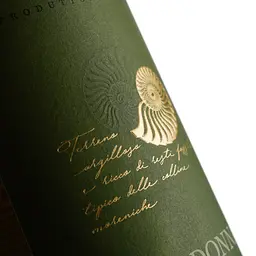 Вино Cantina Castelnuovo del Garda Chardonnay, біле, сухе, 12%, 0,75 л (8000009446420) - мініатюра 3