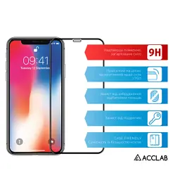 Скло захисне ACCLAB Full Glue ESD Apple Iphone X/XS/11 Pro (1283126532139) - мініатюра 2