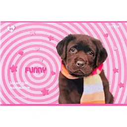 Зошит для малюв. на скобі 24/100 A4 RH гібрид лак + УФ лак R24-242