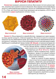 Велика книжка. Віруси - - мініатюра 4