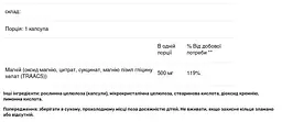 Магній Life Extension 500 мг 100 капсул - мініатюра 3