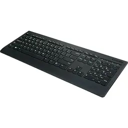 Комплект клавіатура + миша Lenovo Professional Wireless Combo UA Black [4X31D64775] [99007] - мініатюра 3