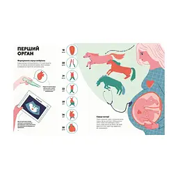 Книга Серце. Історія, наука і багато любові - Ноемі Фабра Видавництво Старого Лева (9789664485507) - мініатюра 4