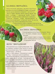 Перлини природи України - Тетяна Станкевич - мініатюра 3