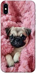 TPU чохол Demsky Мопс у ніжностях для Apple iPhone X (5.8")