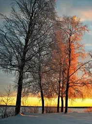 Lagom. The Swedish Secret of Living Well - мініатюра 3