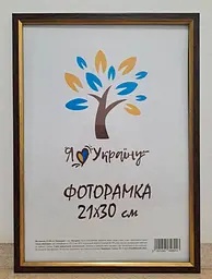 Фоторамка 21Х30, (А4), коричнева із золотою вставкою, 1210-В186, ОРГСКЛО+ДВП
