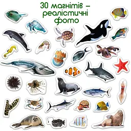Дитячий набір магнітів Морські мешканці фото ML4031-28 EN - мініатюра 4