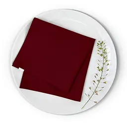 Набір серветок Cosas Ruby 2 шт. 30х30 см бордо (Set-2Serviette_RanforsBordo_30) - мініатюра 4