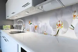 Кухонний фартух Ніжні білі Орхідеї для кухні наклейка ПВХ квіти на білому тлі 60х200 см Happy Pocket Z180544