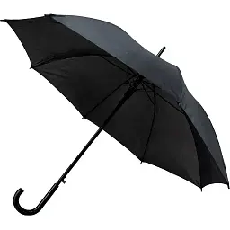 Парасолька Semi Line Black L2037-0 (DAS303547)