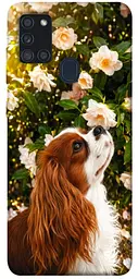 TPU чохол Demsky Flower spaniel для Samsung Galaxy A21s