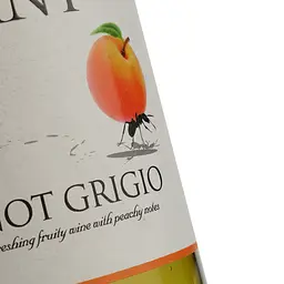 Вино LGC Fabulous Ant Pinot Grigio біле сухе 0.75 л - мініатюра 3