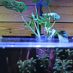 Контейнер для вирощування рослин в акваріумі Hobby Plant basket 8×9×8 см (61330) - мініатюра 4