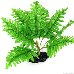 Штучна рослина, папороть Repti-Zoo Tropical Fern 22см (TP015) - мініатюра 4