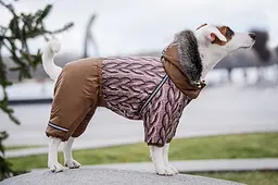 Комбінезон Smart Pet В’язанка