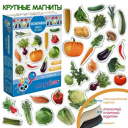 Магнітний набір Magdum Овочі (ML4031-12 EN) - мініатюра 5