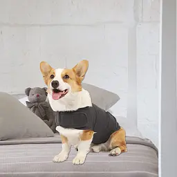 Заспокійливий жилет для собак WanTalk Dog Anxiety Jacket, Dark Grey - мініатюра 3