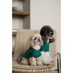 Сорочка Pet Fashion Seaman для собак S - мініатюра 6