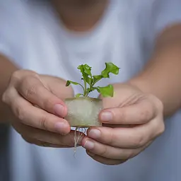 Vegebox™ by BioChef Kitchen Box набір садовий для гідропоніки - мініатюра 6