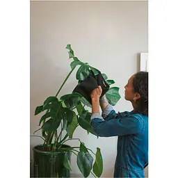Серветка Fiskars Plant Care для догляду за кімнатними рослинами (1075318) - мініатюра 4