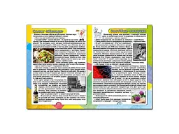 Книга Дивовижні історії про звичайні речі, Глорія - мініатюра 5