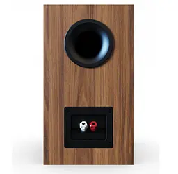 Полочні колонки ELAC Debut 3.0 DB-53WN Bookshelf Speakers Walnut - мініатюра 2