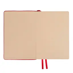 Деловой блокнот Leo Planner интегральный А5 датированный 2027 Aldento 252731 368 листов красный - миниатюра 3