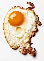 The Gourmand's Egg. A Collection of Stories and Recipes
