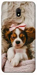 TPU чохол Demsky Sleepy spaniel для Xiaomi Redmi 8a