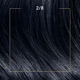 Стійка крем-фарба для волосся Wella Color Perfect 2/8 Синяво-чорний (4064666598260) - мініатюра 2
