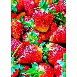 Саджанець Agro-Market Полуниця Монтерей (Monterey) 5шт (ремонтантний високоврожайний сорт) (37283) - мініатюра 3