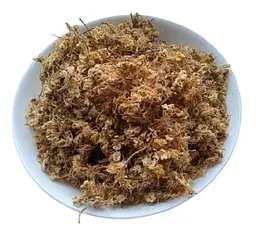 Каштан кінський Квіти Гіркокаштан Горіх кінський Жолузник Aesculus hippocastanum