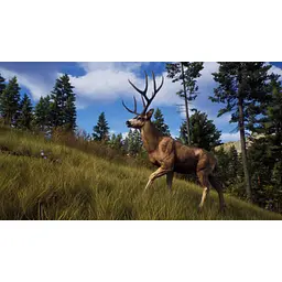 Ключ активації Microsoft Way of the Hunter - Ultimate Edition для Xbox Series S/X - мініатюра 4