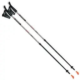 Палиці для скандинавської ходьби Gabel Stretch Ice (7008352630000) телескопічні
