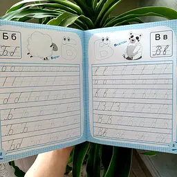 Готуємось до школи. Пишемо букви КН822002У - мініатюра 2