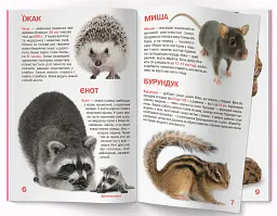 Велика книжка. Дикі тварини - мініатюра 3
