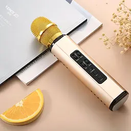 Бездротовий караоке-мікрофон Losso K6 Premium з вбудованим динаміком і Bluetooth Gold (18960) - мініатюра 4