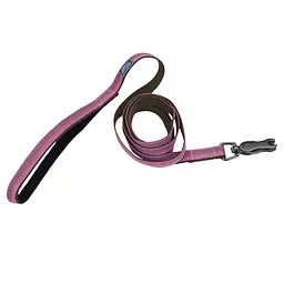 Coastal k9 Explorer Leash к9 експлорер світловідбивний повідець для собак 1.6см х 1.8м (36406_ROB06)