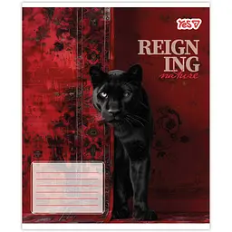Зошит шкільний Yes Reign ing А5 24 аркуші клітинка 20 шт. (769092) - мініатюра 2