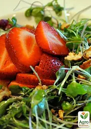 Насіння Agro-Market Мікрозелень Рукола у банці 20 г (45225) - мініатюра 3