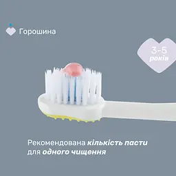 Набір зубних щіток Chicco на присосці, 3-6 років, 2 шт. блакитна з жовтим (12084.11) - мініатюра 4
