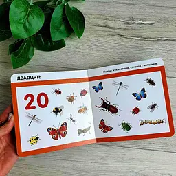 Лічимо комах. Смарт-книги С944010У - мініатюра 3