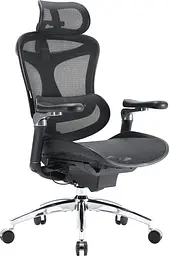 Ігрове крісло Sihoo DORO C300 Pro Mesh Black (DORO-C300-PRO-M101)