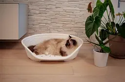 Пластиковий лежак для собак і котів Ferplast Siesta Deluxe 2 білий 49×36×17,5 см 70202911 - мініатюра 3